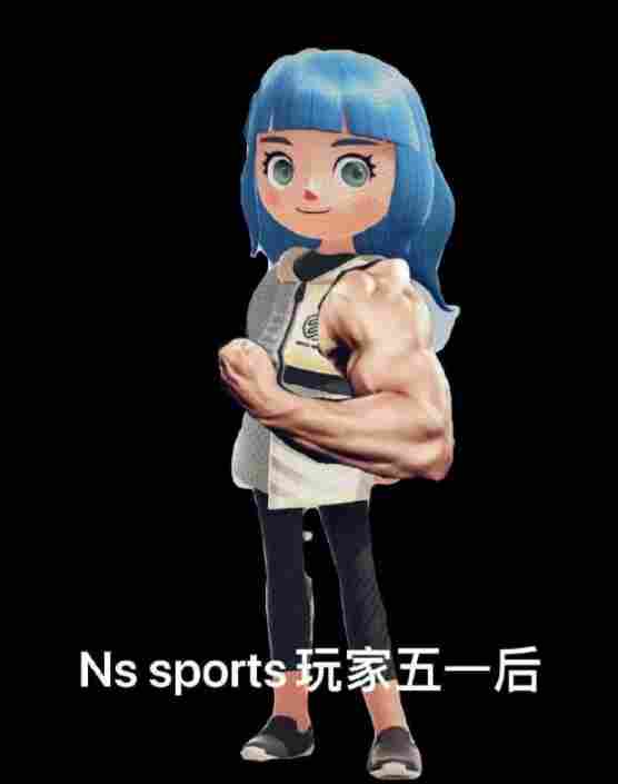 《NS Sports》评测:好玩而且废手