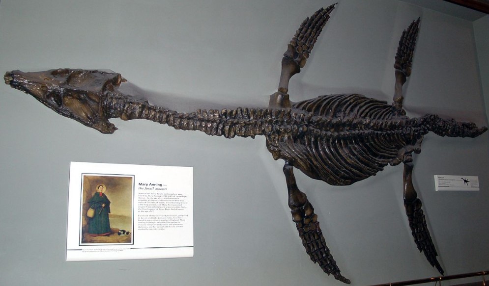 《恐龙化石猎人:古生物学家模拟器》评测:好听的故事听听就好