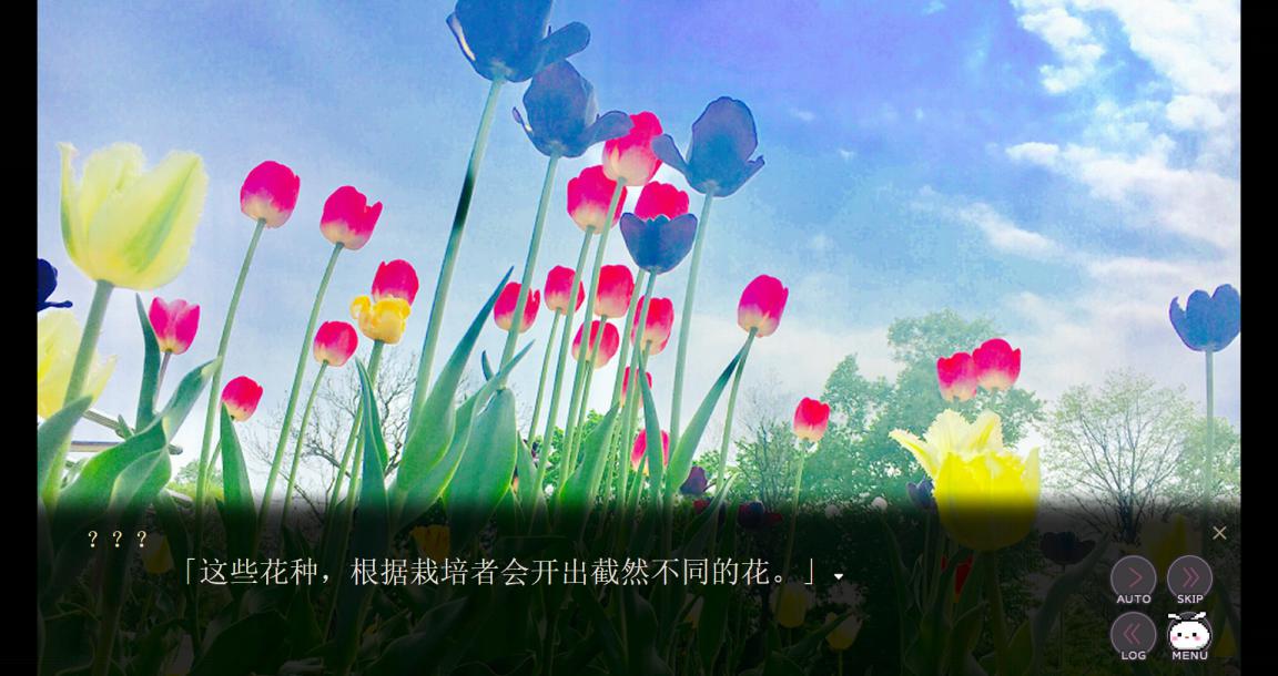 《精神病大王花》评测:属于精神异常者的Happy End