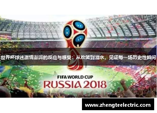 世界杯球迷激情澎湃的反应与感受：从欢笑到泪水，见证每一场历史性瞬间