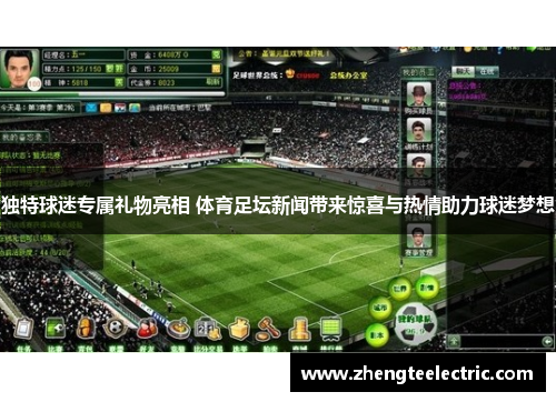 独特球迷专属礼物亮相 体育足坛新闻带来惊喜与热情助力球迷梦想