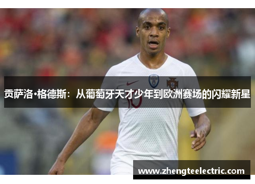 贡萨洛·格德斯：从葡萄牙天才少年到欧洲赛场的闪耀新星