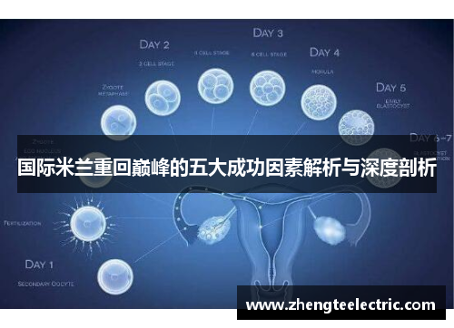 国际米兰重回巅峰的五大成功因素解析与深度剖析