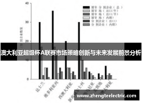 澳大利亚超级杯A联赛市场策略创新与未来发展前景分析